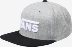 VANS Caps 'Drop V II' Gråmelert