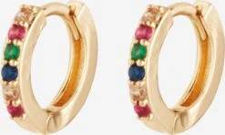 Fräulein Wunder Øredobber Gull