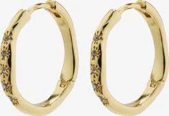 Pilgrim Øredobber 'EDURNE' Gull