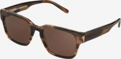 Arnette Solbriller '0AN4294' Brun / Mørkebrun