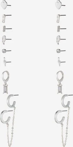 Nasty Gal Øredobber Sølv